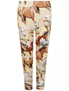 Леггинсы MOLO