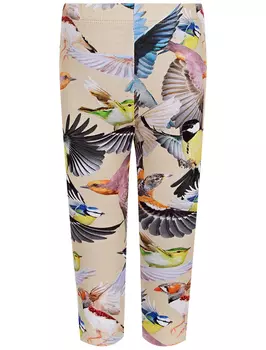 Леггинсы MOLO