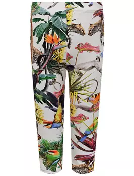 Леггинсы Molo