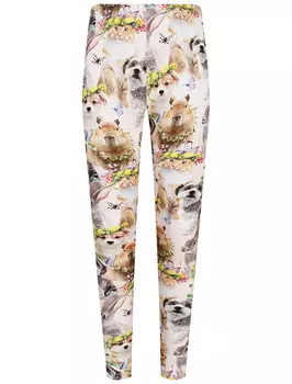 Леггинсы MOLO