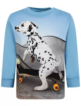 Лонгслив MOLO