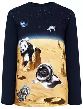 Лонгслив MOLO