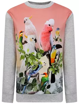 Лонгслив Molo