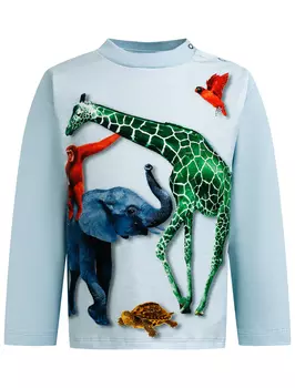 Лонгслив MOLO