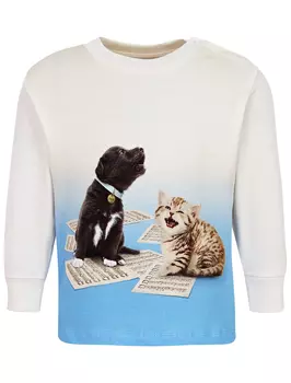 Лонгслив Molo