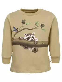 Лонгслив Molo