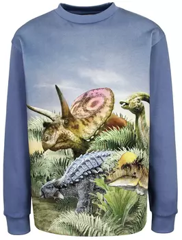 Лонгслив Molo