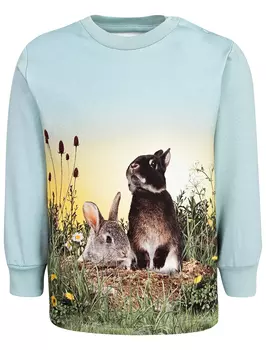 Лонгслив Molo