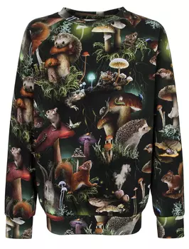 Лонгслив Molo