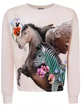 Лонгслив MOLO