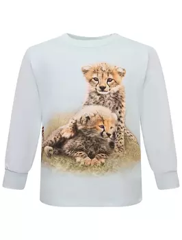 Лонгслив MOLO