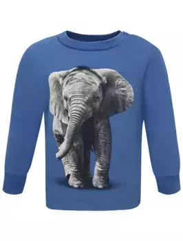 Лонгслив Molo