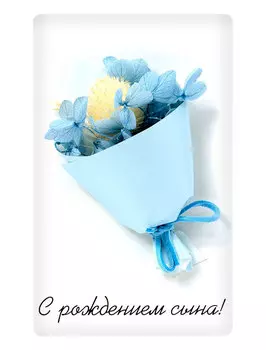 Открытка Bernes