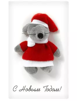 Открытка Bernes