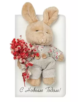 Открытка Bernes