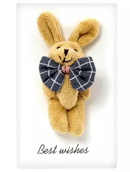 Открытка Bernes