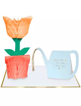 Открытка Meri Meri