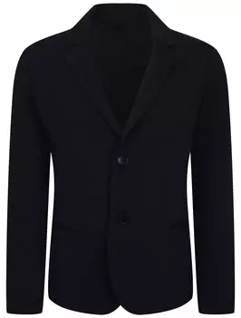 Пиджак EMPORIO ARMANI