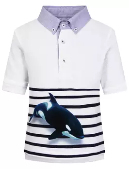 Поло Lapin House