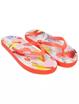 Шлепанцы пляжные MOLO