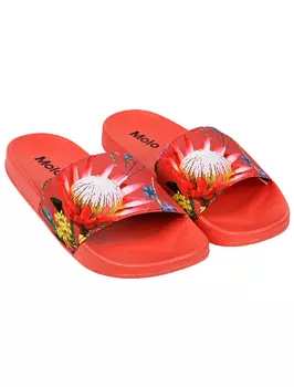 Шлепанцы пляжные MOLO