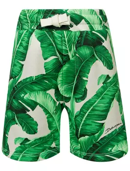 Шорты Dolce & Gabbana