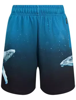 Шорты Molo