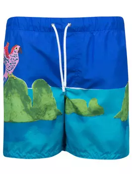 Шорты пляжные Dolce &amp; Gabbana