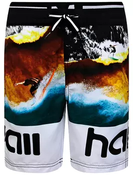 Шорты пляжные MOLO