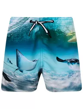 Шорты пляжные MOLO