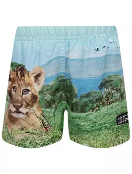 Шорты пляжные MOLO