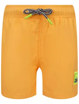 Шорты пляжные Molo