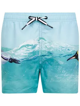 Шорты пляжные MOLO