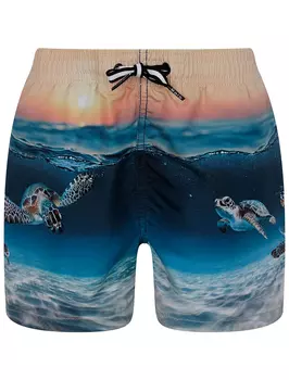 Шорты пляжные MOLO