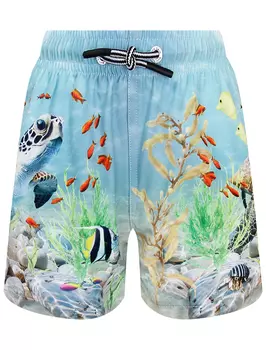 Шорты пляжные Molo