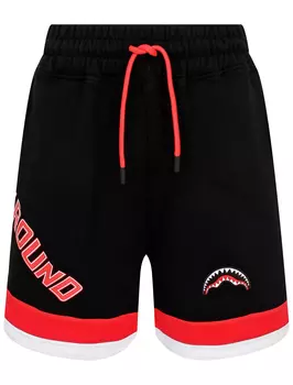 Шорты SPRAYGROUND