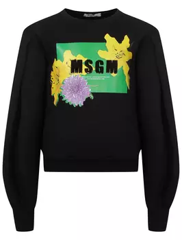 Свитшот MSGM