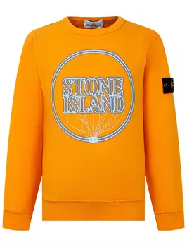 Свитшот Stone Island