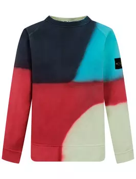 Свитшот Stone Island