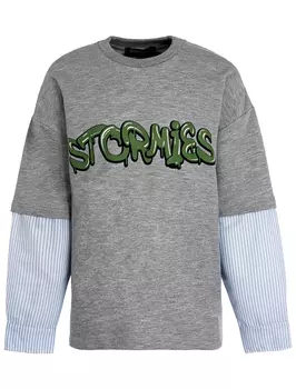 Свитшот Stormies