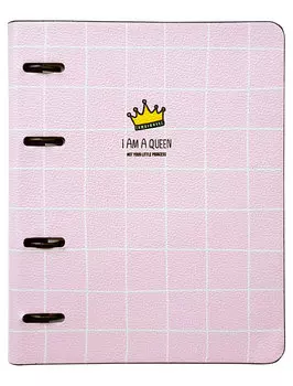 Тетрадь Infolio Study