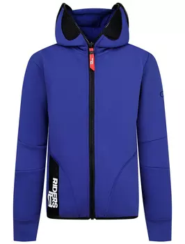 Толстовка AI Riders on the Storm