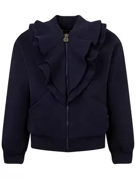 Толстовка ALBERTA FERRETTI