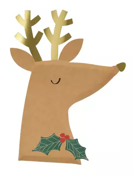 Украшение для праздника Meri Meri