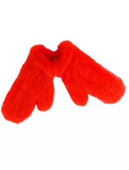 Варежки Carolon