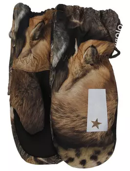 Варежки MOLO