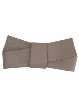 Заколка Carolon