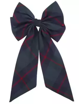 Заколка EIRENE