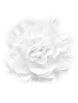 Заколка Junefee