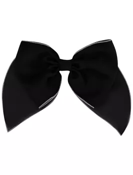 Заколка Prairie